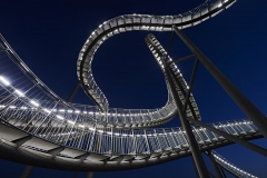 Duisburg, Tiger & Turtle 1