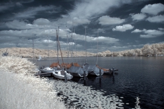 IGP1409-ir-co