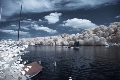 IGP1411-ir-co