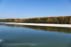 Donaulandschaft #3